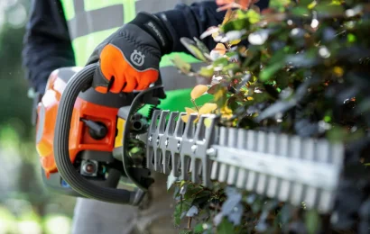 Taille haie Vente et réparation à Metz (57)